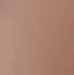 Warm Beige
