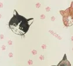 Cat Beige