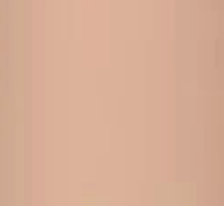 Pale Taupe